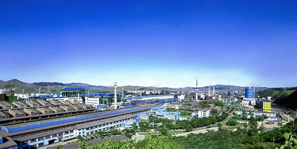 面向大型企业